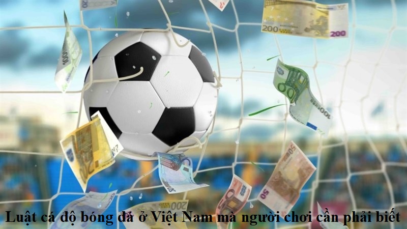 luat-ca-do-bong-da-o-viet-nam-ma-nguoi-choi-can-phai-biet