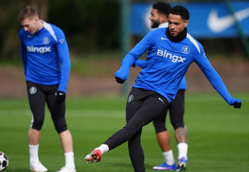 levi-colwill-tai-xuat-san-tap